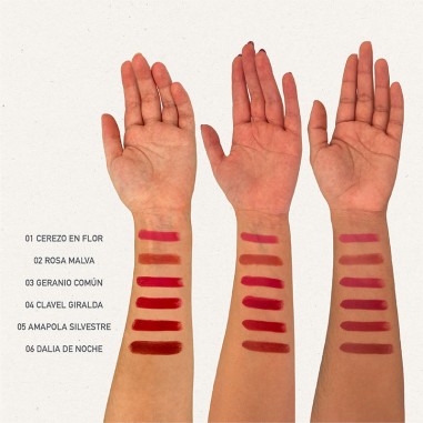 Pintalabios 04 clavel giralda... Pintalabios 04 clavel giralda...