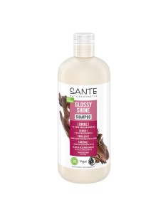 Champú brillo radiante Abedul 500ml Sante BIO