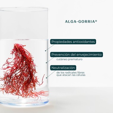 Propiedades de alga-gorria
