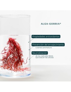 Bálsamo labial protector SPF 30 cuidado natural sol 2