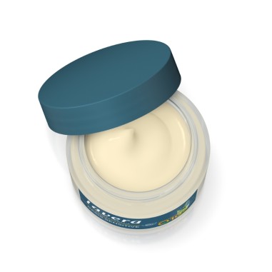 Crema hidratante noche Q10 Basis Sensitiv lavera