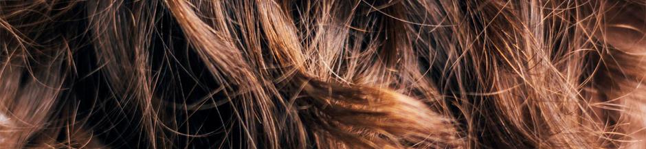 Tintes vegetales para el pelo |Tu tienda de cosmética Bio