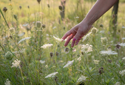 ¿Cómo puedes cuidar mejor tu piel este año con gestos sencillos y cosmética natural?